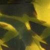 Matte Yellow Tortoise-swatch