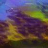 Ocean Reef-swatch