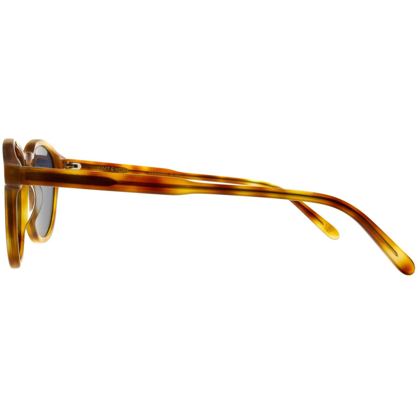 Amber Tortoise